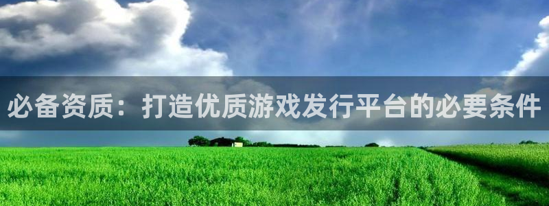 im电竞平台登录入口官网：必备资质：打造优质游戏发行平台的必要条件