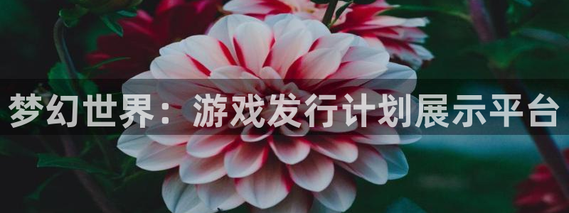 im电竞品牌策划团队介绍：梦幻世界：游戏发行计划展示平台