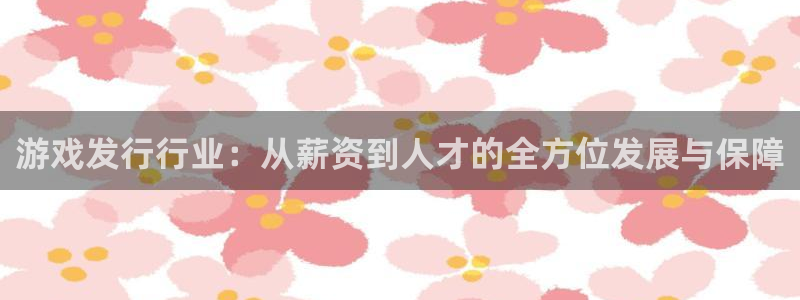 im电竞环境科技有限公司：游戏发行行业：从薪资到人才的全方位发展与保障