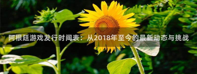 im电竞官网注册平台怎么注册：阿根廷游戏发行时间表：从2018年至今的最新动态与挑战