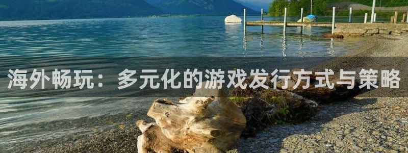im电竞电子商务有限公司：海外畅玩：多元化的游戏发行方式与策略