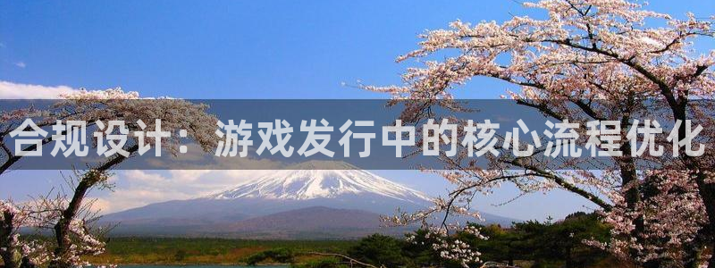 im电竞官网平台代理开号：合规设计：游戏发行中的核心流程优化