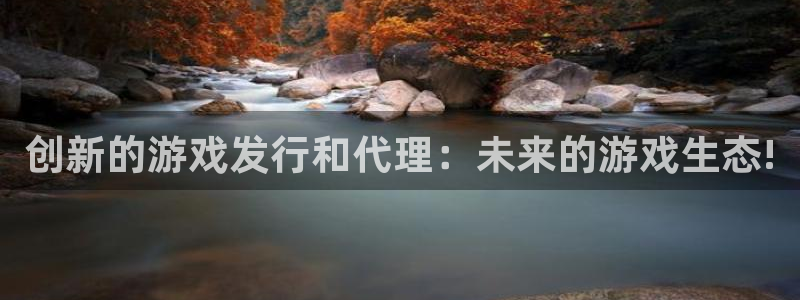im电竞电子商务有限公司怎么样知乎：创新的游戏发行和代理：未来的游戏生态!
