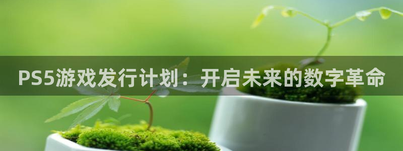 im电竞官网挂机项目怎么样啊