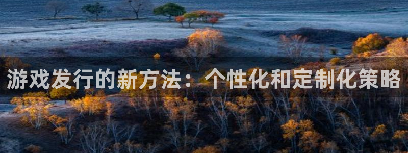im电竞是什么品牌：游戏发行的新方法：个性化和定制化策略