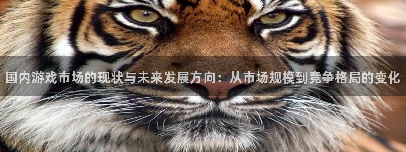 im电竞烟照片：国内游戏市场的现状与未来发展方向：从市场规模到竞争格局的变化