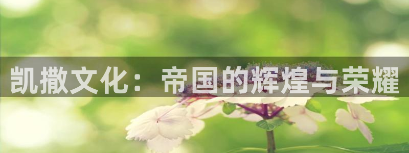 im电竞官网游戏平台高奖金玩法