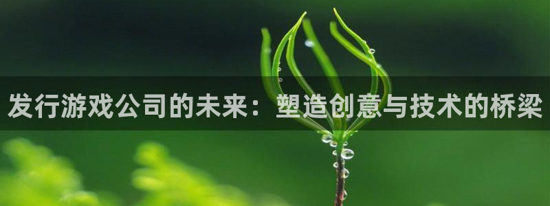 im电竞的寓意：发行游戏公司的未来：塑造创意与技术的桥梁