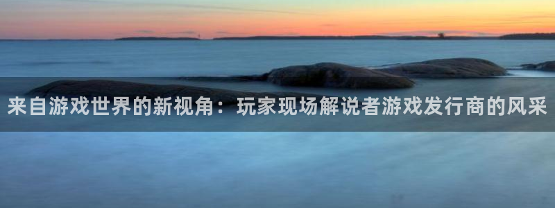 im电竞官网注册方法视频教程：来自游戏世界的新视角：玩家现场解说者游戏发行商的风采