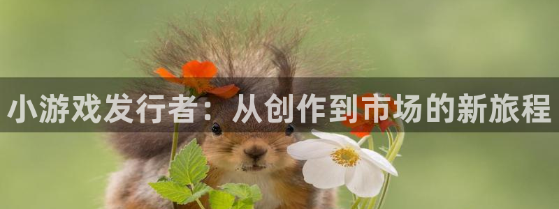 江苏im电竞：小游戏发行者：从创作到市场的新旅程