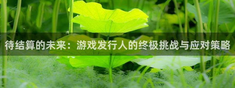 im电竞官网代理开号怎么开：待结算的未来：游戏发行人的终极挑战与应对策略