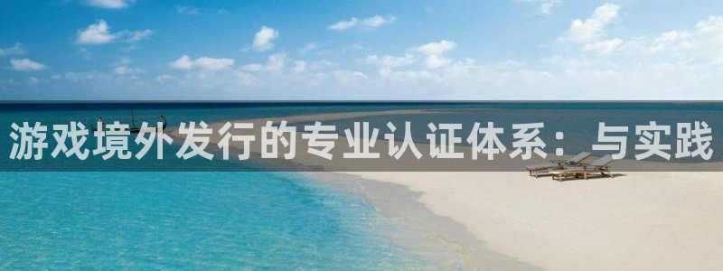 im电竞官网注册地址在哪里查询：游戏境外发行的专业认证体系：与实践
