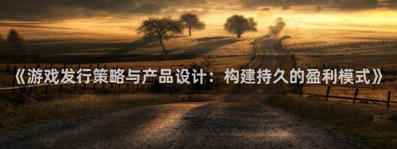 im电竞智得官网：《游戏发行策略与产品设计：构建持久的盈利模式》