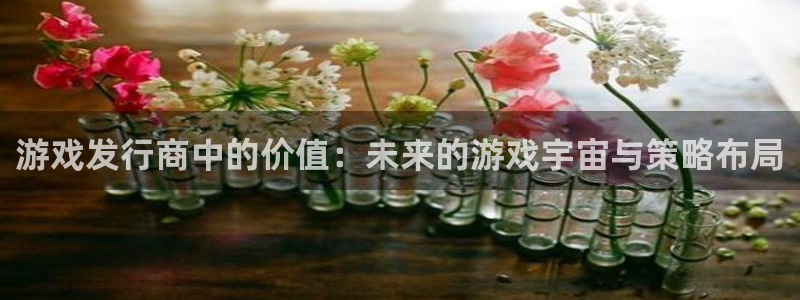广州im电竞网络科技有限公司
