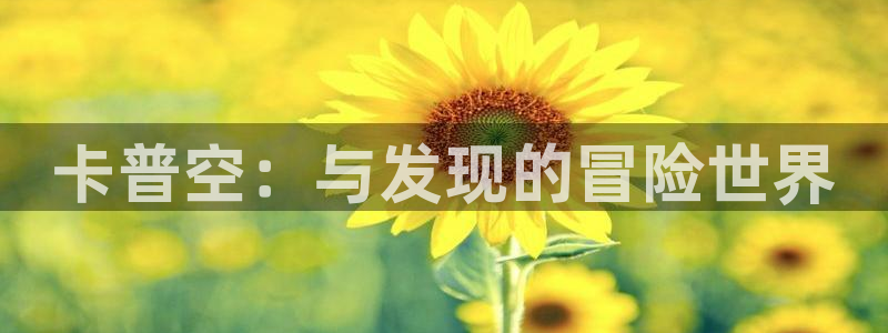 im电竞子怎么来的