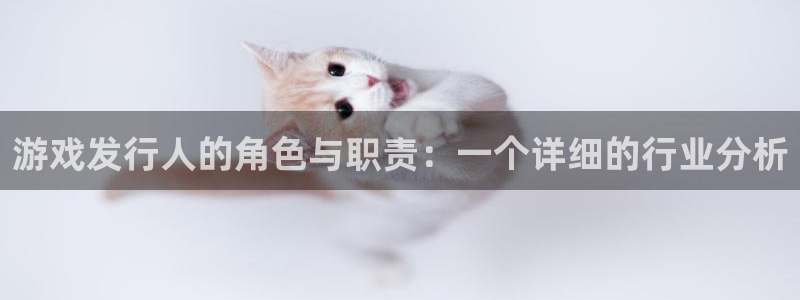 im电竞智邦(北京)品牌策划有限公司：游戏发行人的角色与职责：一个详细的行业分析