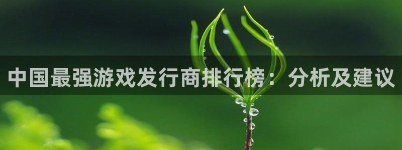 im电竞官网客服服务：中国最强游戏发行商排行榜：分析及建议