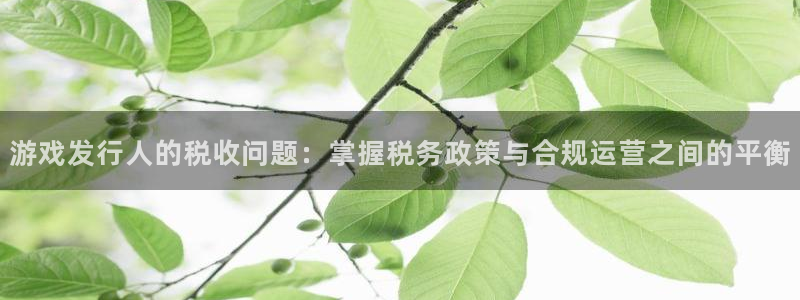 im电竞品牌策划团队介绍：游戏发行人的税收问题：掌握税务政策与合规运营之间的平衡