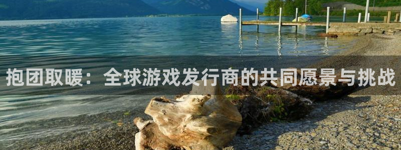 im电竞官网平台会黑款吗：抱团取暖：全球游戏发行商的共同愿景与挑战