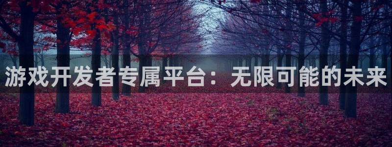 im电竞子文化是什么：游戏开发者专属平台：无限可能的未来