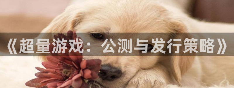 im电竞官网解绑银行卡：《超量游戏：公测与发行策略》