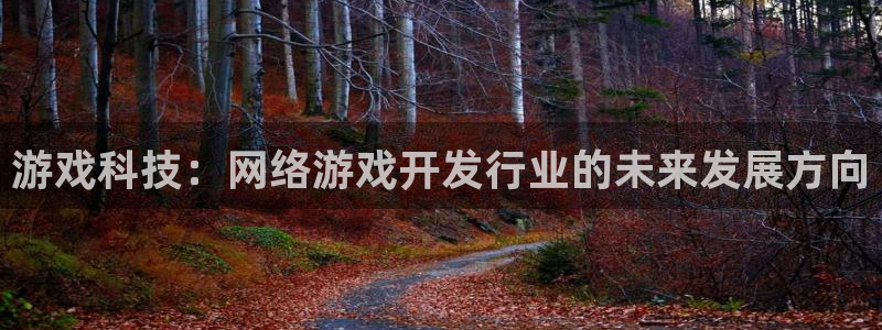 im电竞官网注册平台怎么注册账号：游戏科技：网络游戏开发行业的未来发展方向