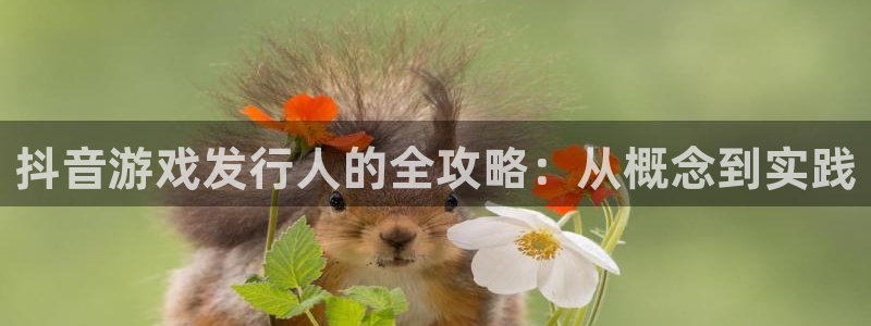 im电竞官网注册地址在哪里查询：抖音游戏发行人的全攻略：从概念到实践